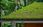 Annonce ansehen