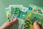 View this ad